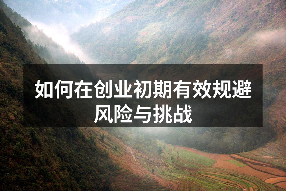 如何在创业初期有效规避风险与挑战