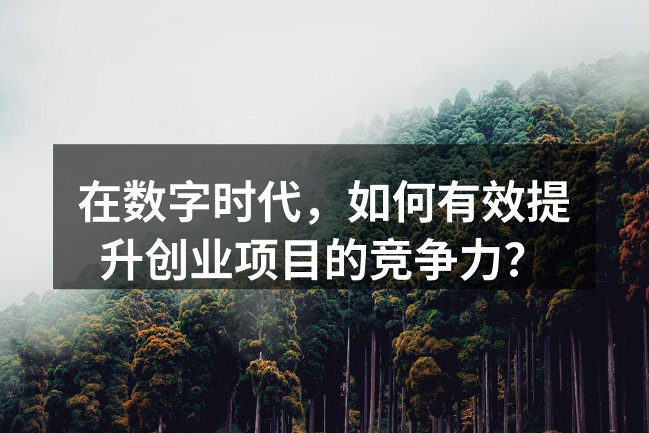 在数字时代，如何有效提升创业项目的竞争力？
